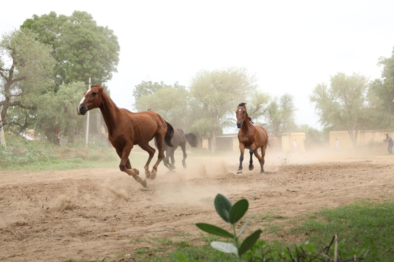 ループ ニワス コティ ホテル Nawalgarh エクステリア 写真